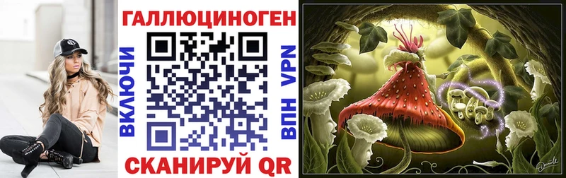 Псилоцибиновые грибы прущие грибы  Вязьма 