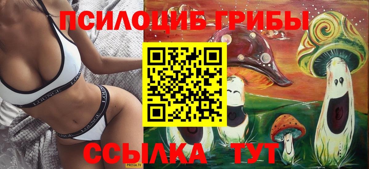 Вязьма  Псилоцибиновые грибы прущие грибы  Вход с VPN  Псилоцибиновые грибы Psilocybe 