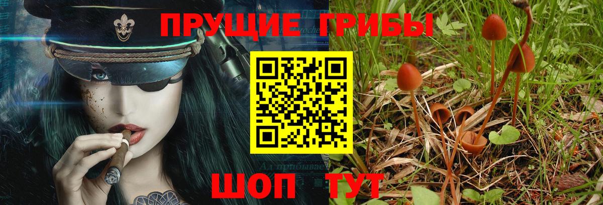 Галлюциногенные грибы прущие грибы Вязьма